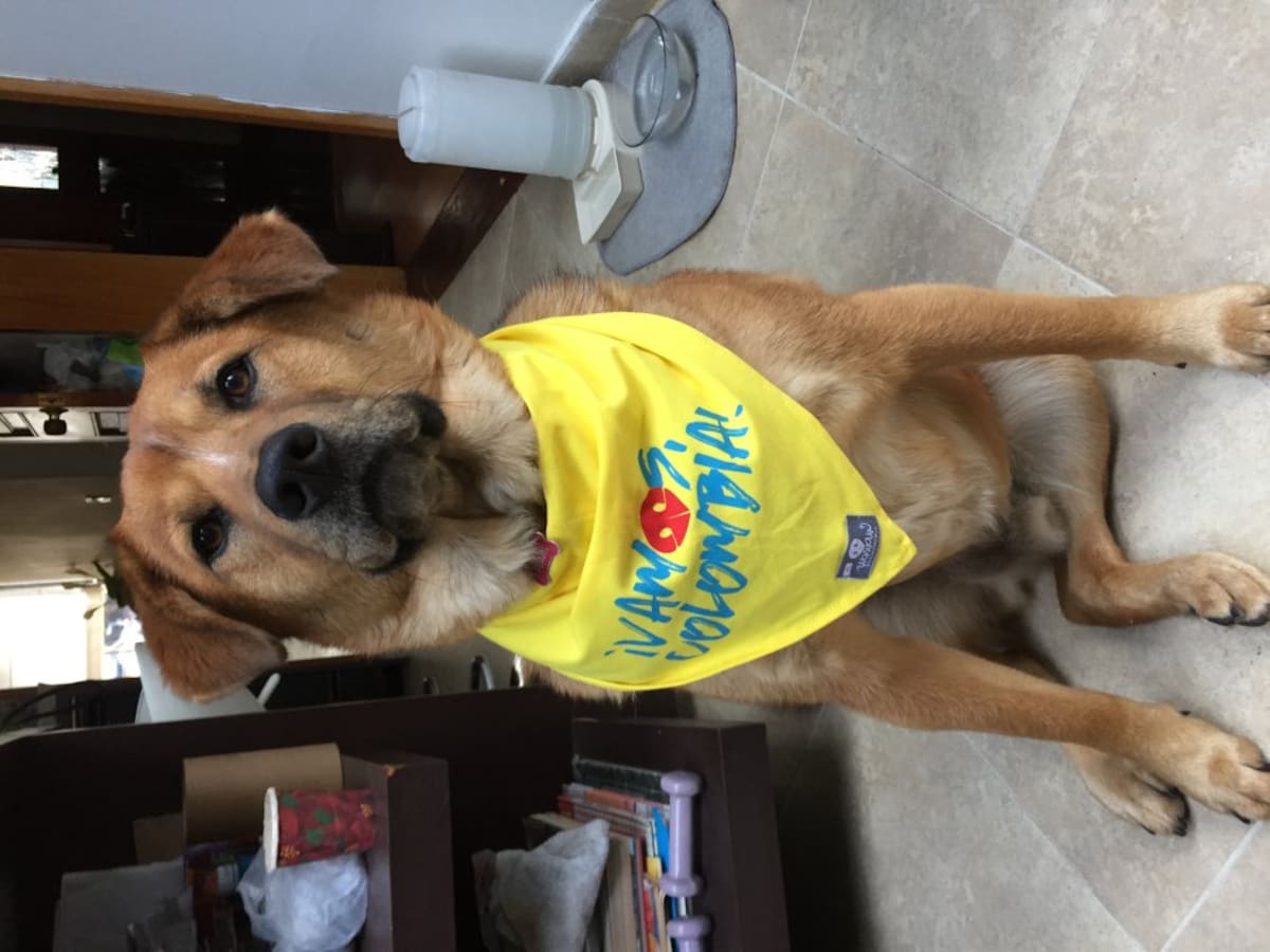 Juliana Alfonso nos envió la foto de su mascota mundialista 