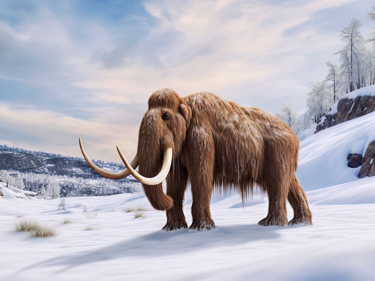 Nuevo estudio del ADN de un mamut lanudo podría ayudar a revivir especies extintas