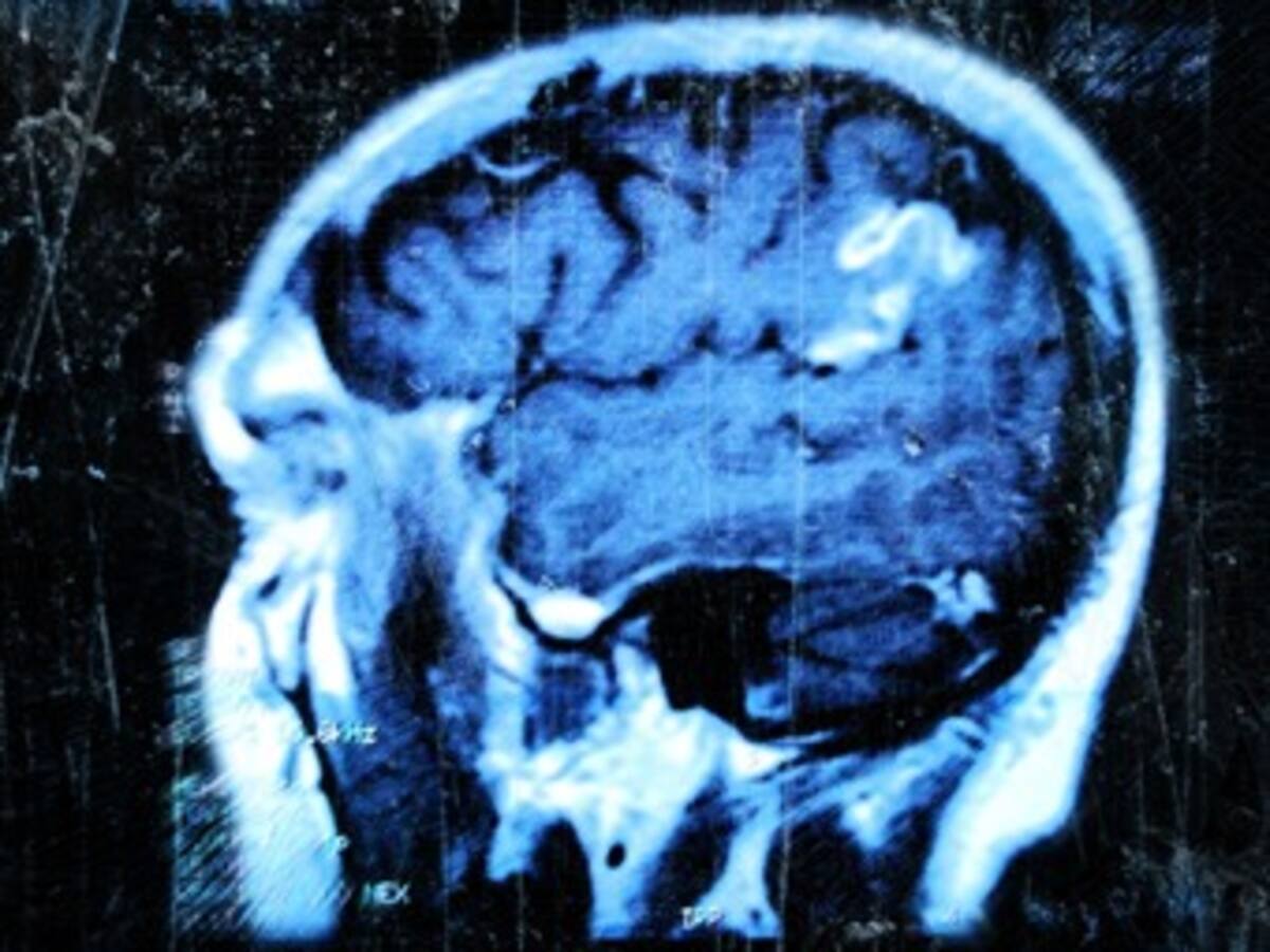 ¿Cuándo es más activo mi cerebro? ¿de día o de noche?