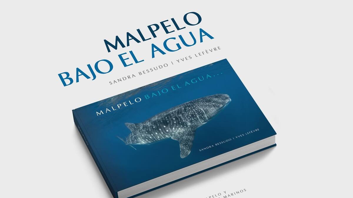 “Malpelo bajo el agua”, imágenes de la riqueza submarina de un santuario