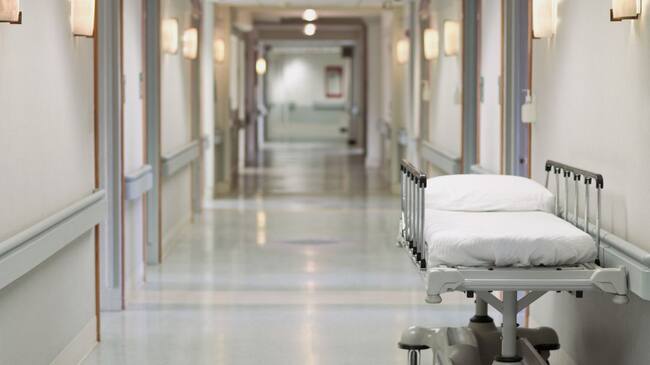 Imagen de referencia