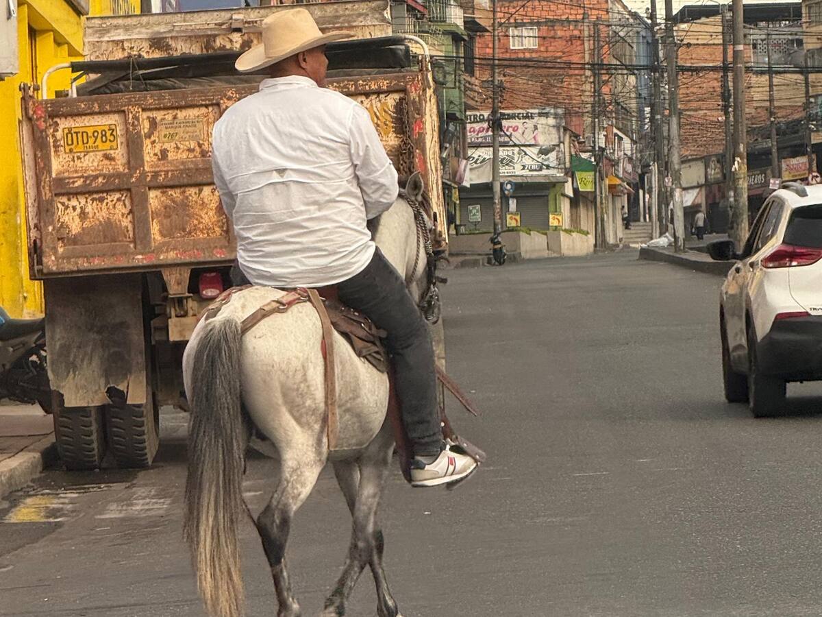 Concejal de Ibagué llegó a trabajar en caballo en el día sin carro y sin moto voluntario