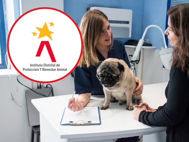 Imagen de referencia, foto Getty images y logo del Instituto Distrital de Protección y Bienestar Animal (IDPYBA)