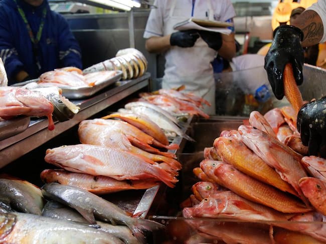 Comercializadoras de pescado del Pacífico al borde de la quiebra