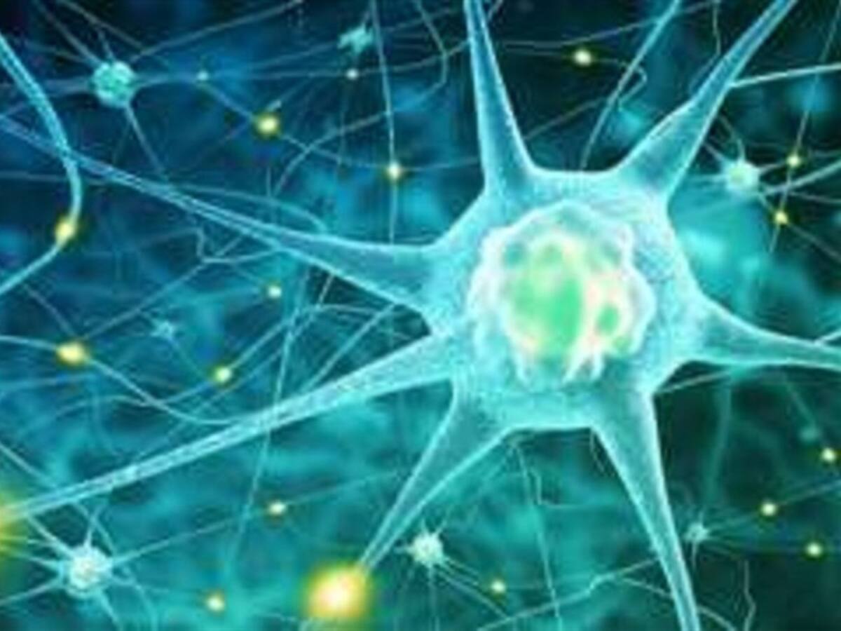 Lucha contra síndrome de cornelia de lange