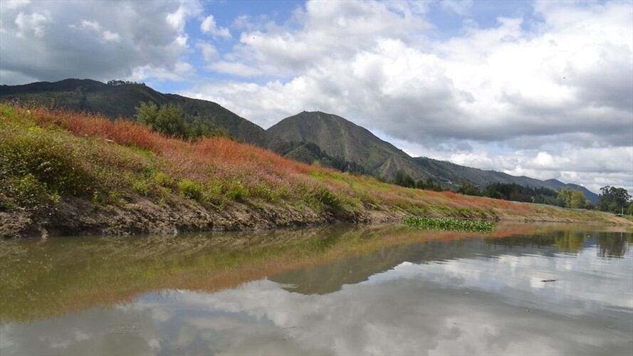 Imagen de referencia. Foto: Colprensa