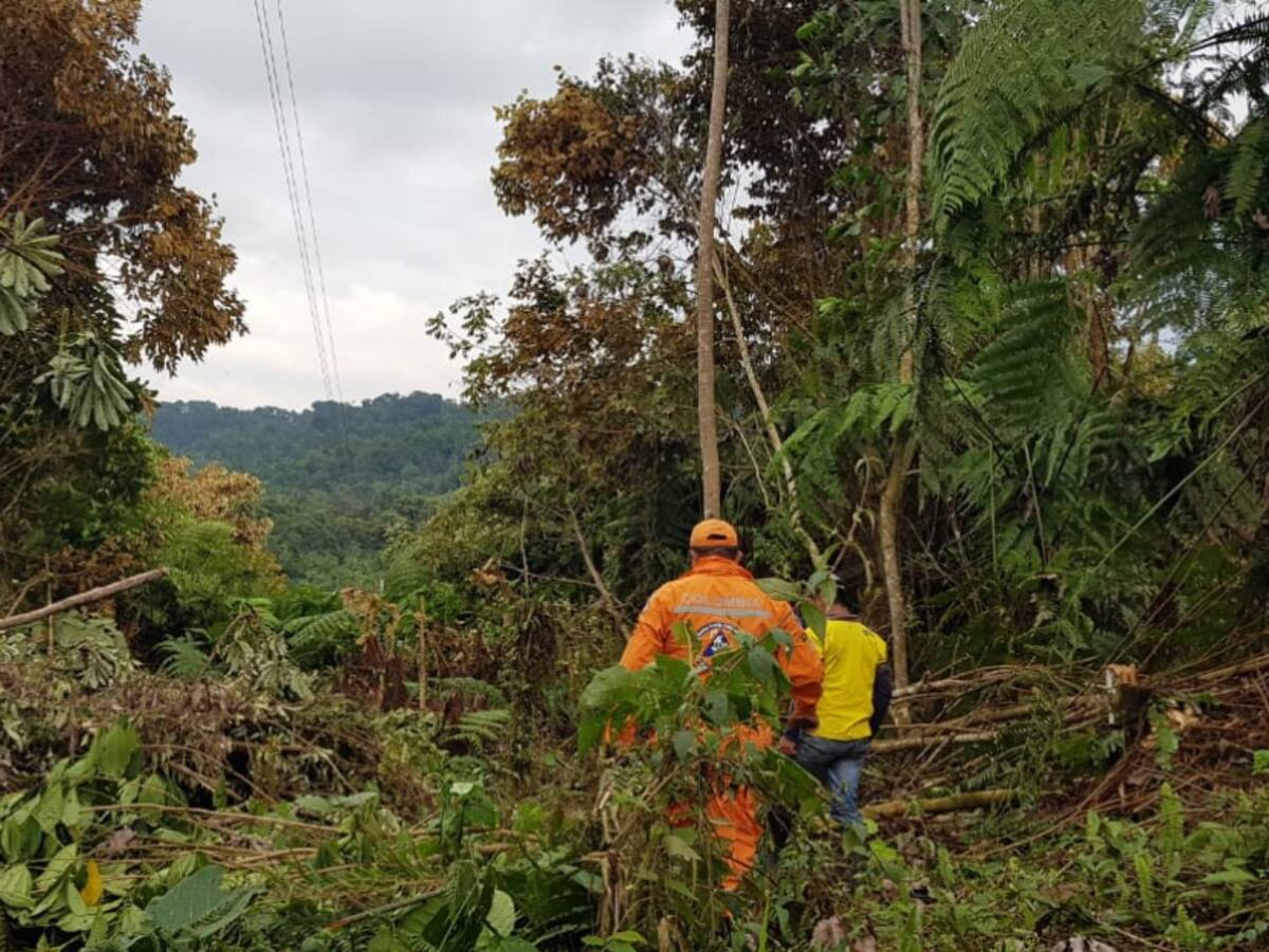 Reaparecen las lluvias en el Tolima y con ellas las emergencias