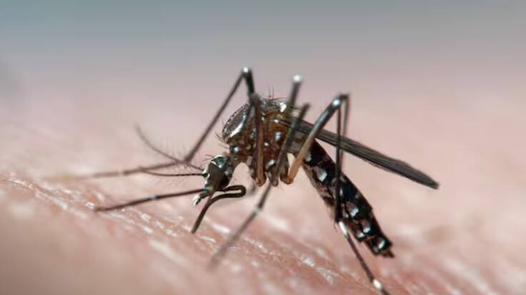 Secretario de Salud de Armenia, César Rincón