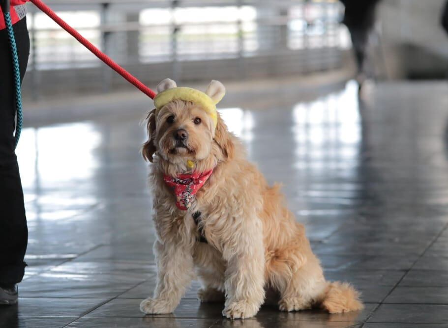 Foto: X de @Transmilenio