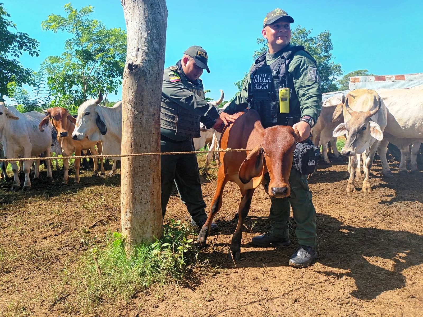 Policía de Bolívar