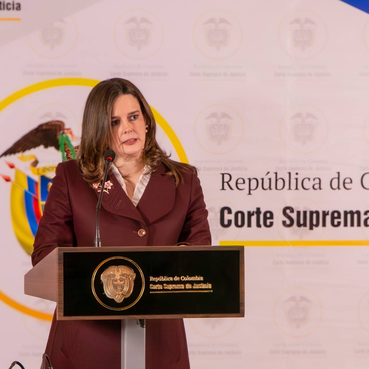 ¿Quién es Lina Escobar, nueva magistrada de la Corte Constitucional?