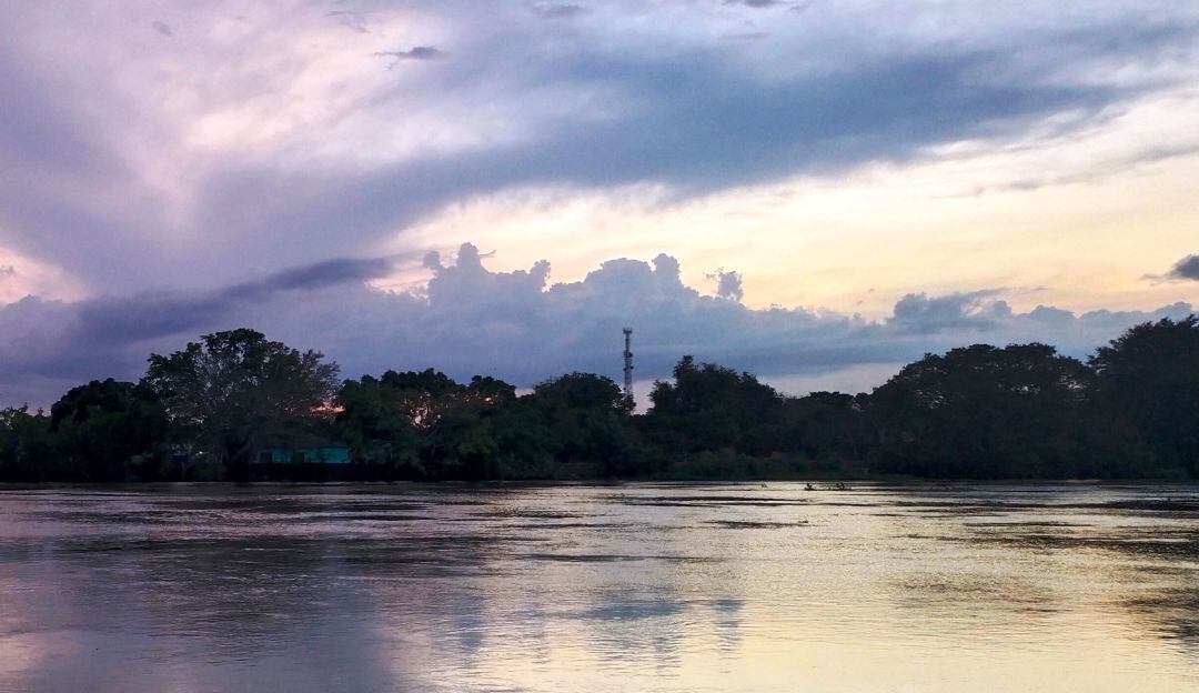 Resignifican proyectos ambientales escolares