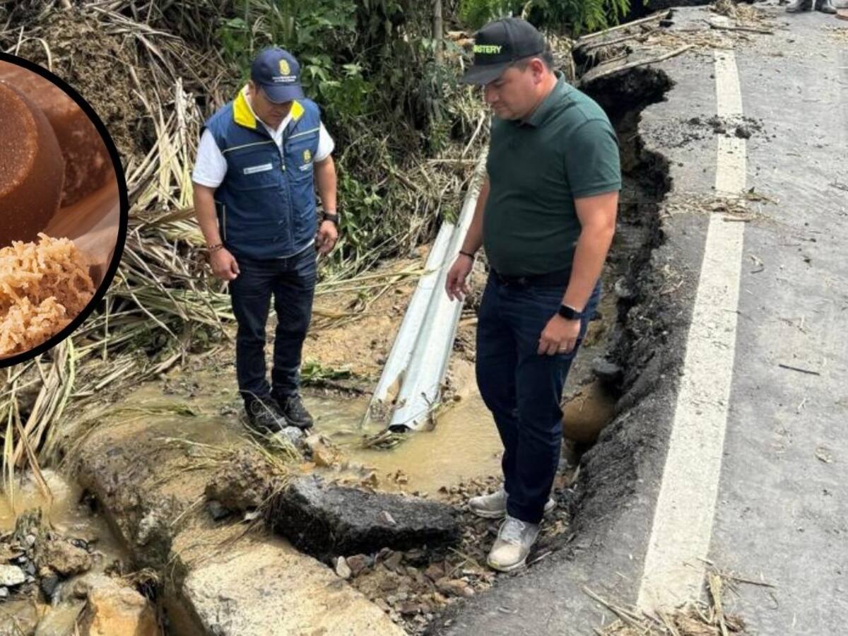 VIDEO: Enorme grieta en vía nacional entre Bucaramanga - Bogotá amenaza el transporte de panela