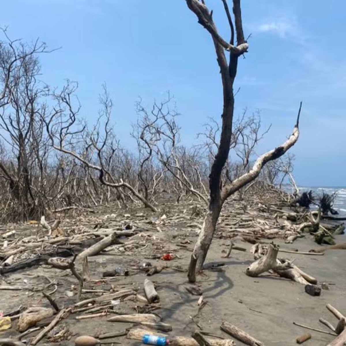 CRA inspeccionará con drones la ciénaga Los Manatíes para retirar residuos