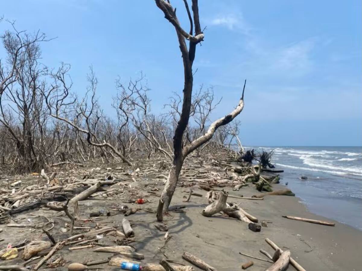 CRA inspeccionará con drones la ciénaga Los Manatíes para retirar residuos