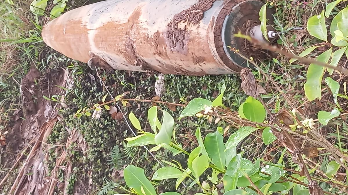 “Hay 27 cuerpos calcinados”: Petro denuncia bombardeos de Ecuador en frontera colombiana