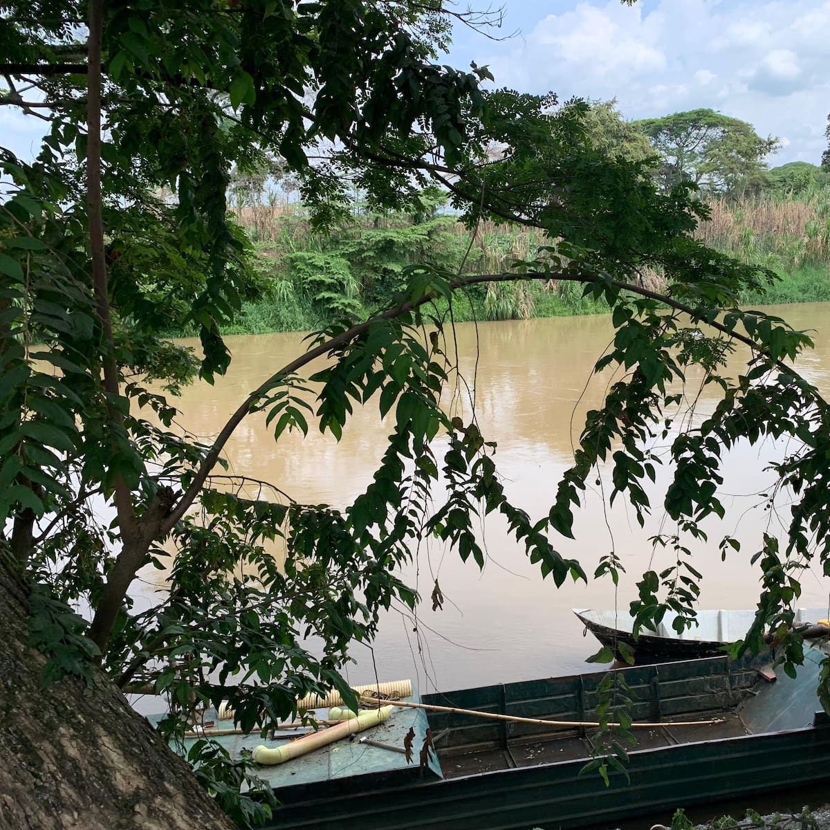 Denuncian incumplimiento de la ANT en compra de predio para Playa Renaciente en Cali, pese a fallo