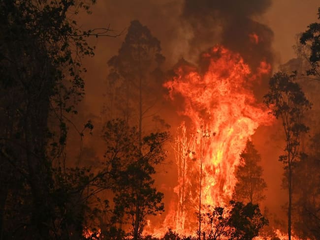 En Australia los incendios amenazan la vida de miles de personas