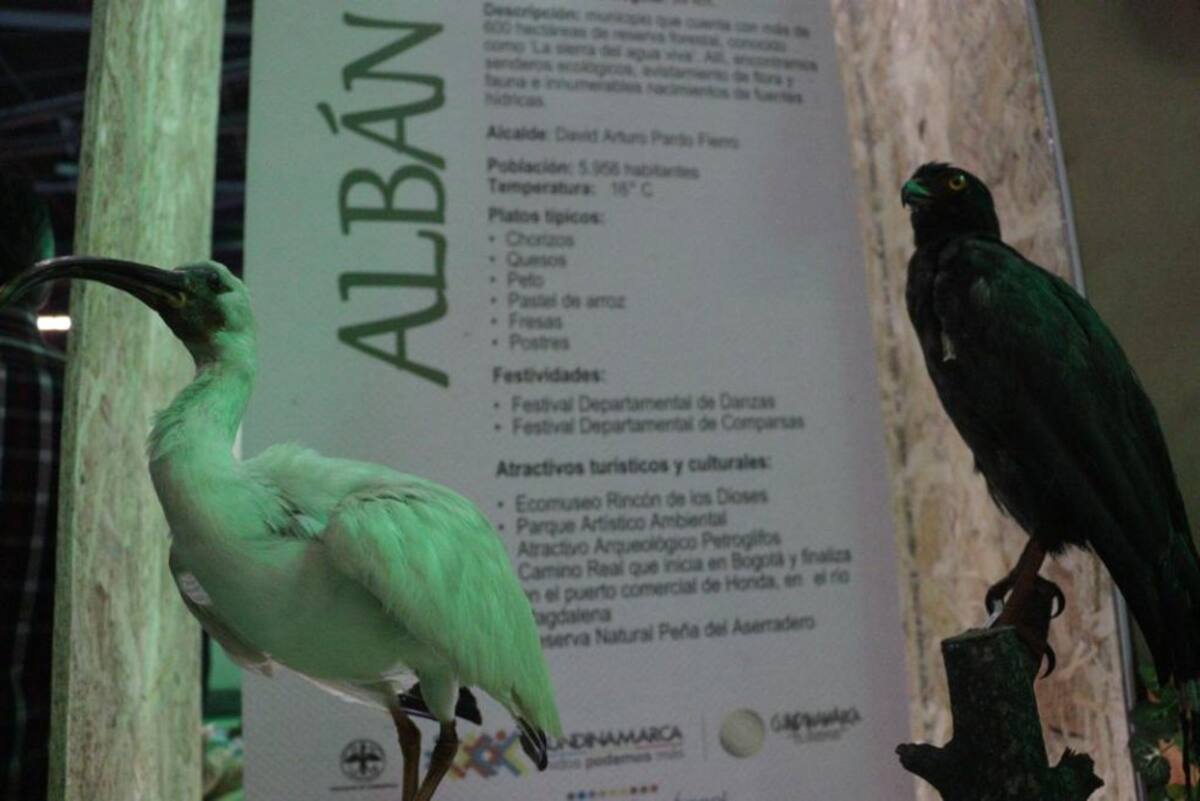 Cada rincón del departamento está representado en ExpoCundinamarca por un artesano, un bailarín, un cocinero o un emprendedor.