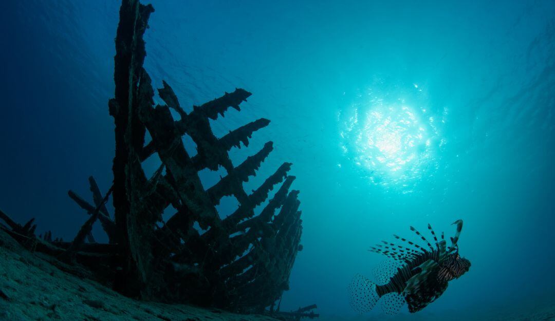 ¡Fabuloso! Descubren extraños lagos "llenos de vida" en el mar Rojo