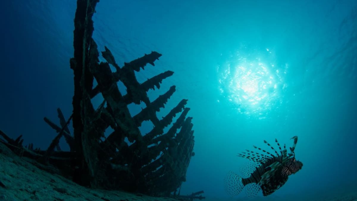 ¡Fabuloso! Descubren extraños lagos "llenos de vida" en el mar Rojo