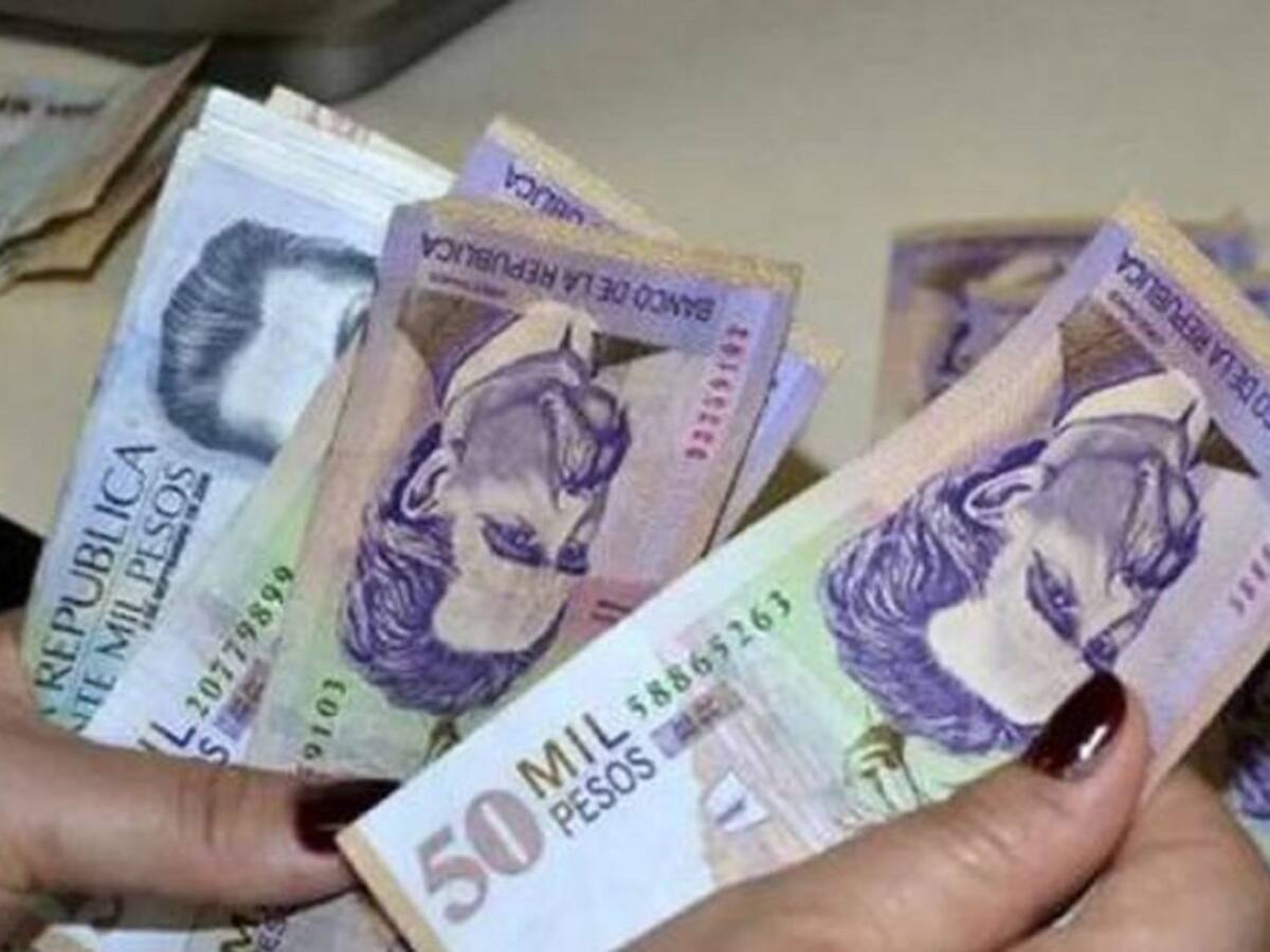 Hasta el domingo 16 de enero hay plazo para el pago del ingreso solidario