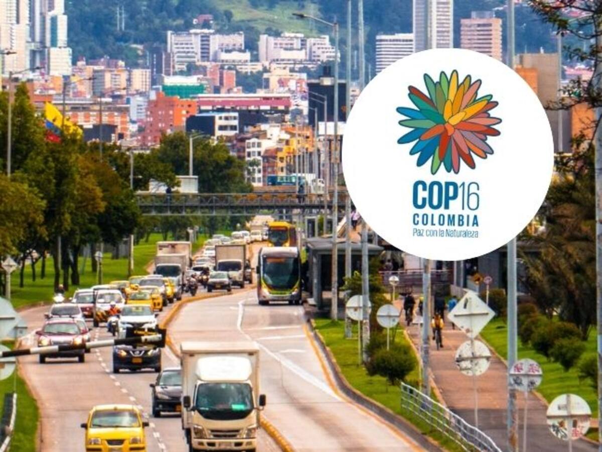 ¿Bogotá hará parte de la COP 16? Aquí le contamos