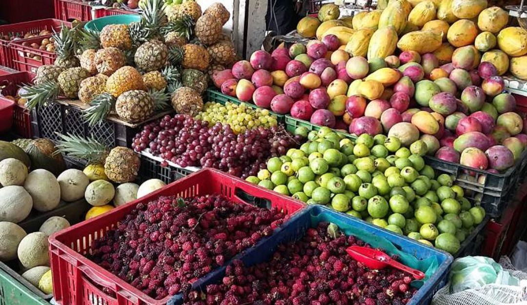 Imagen de referencia