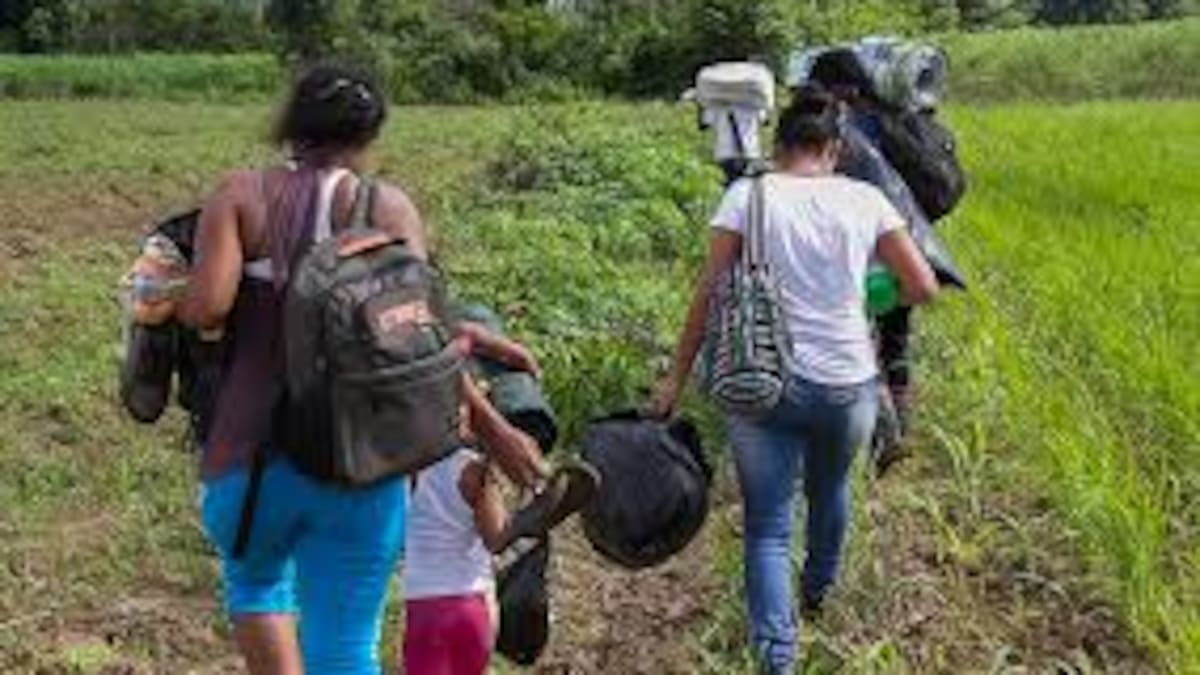 Desplazados de la Plata-Huila, regresan a sus tierras sin garantía de seguridad