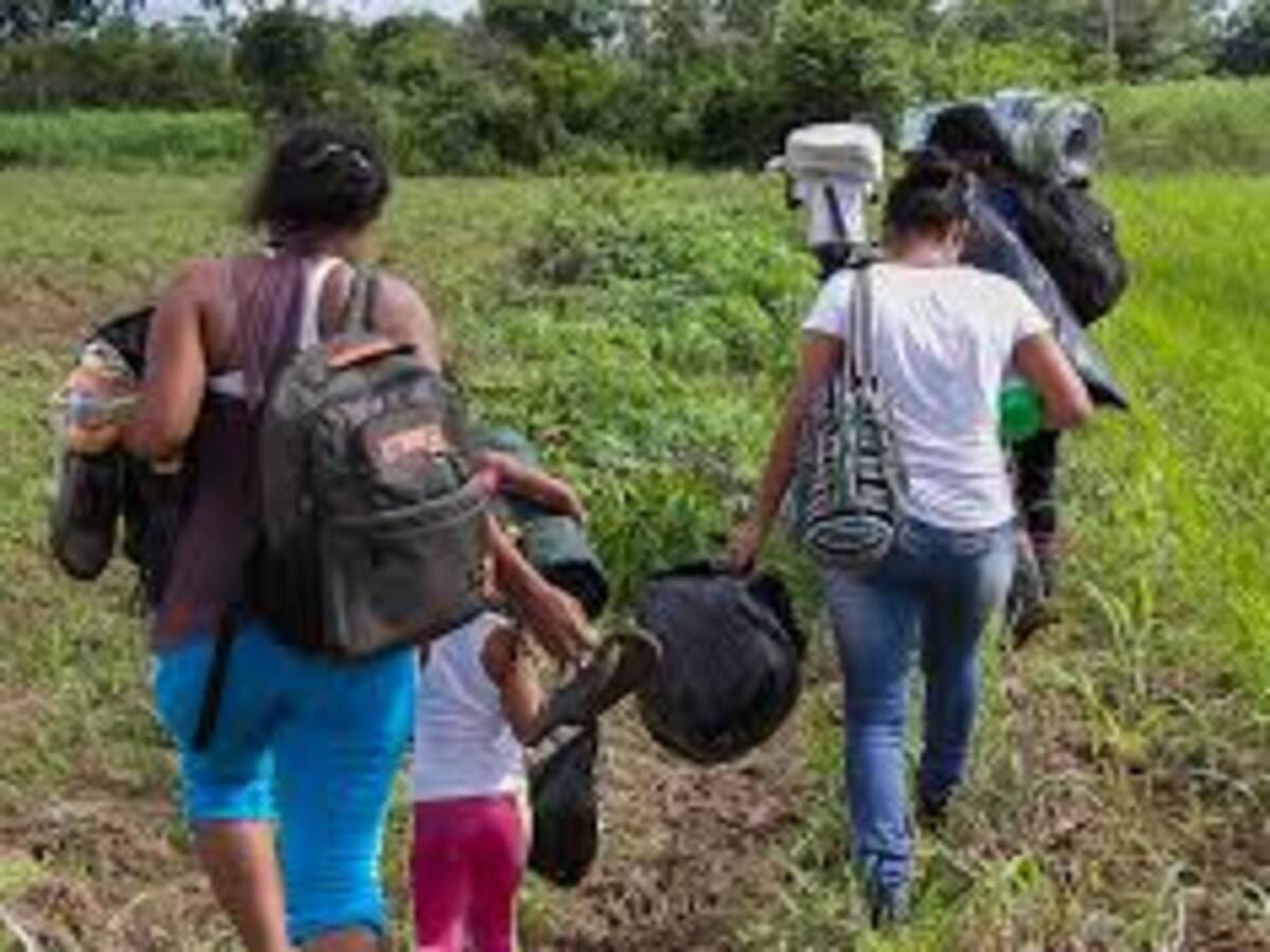 Desplazados de la Plata-Huila, regresan a sus tierras sin garantía de seguridad
