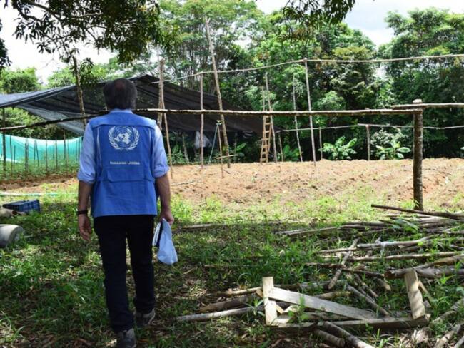 Misión de la ONU en Colombia es renovada por un año