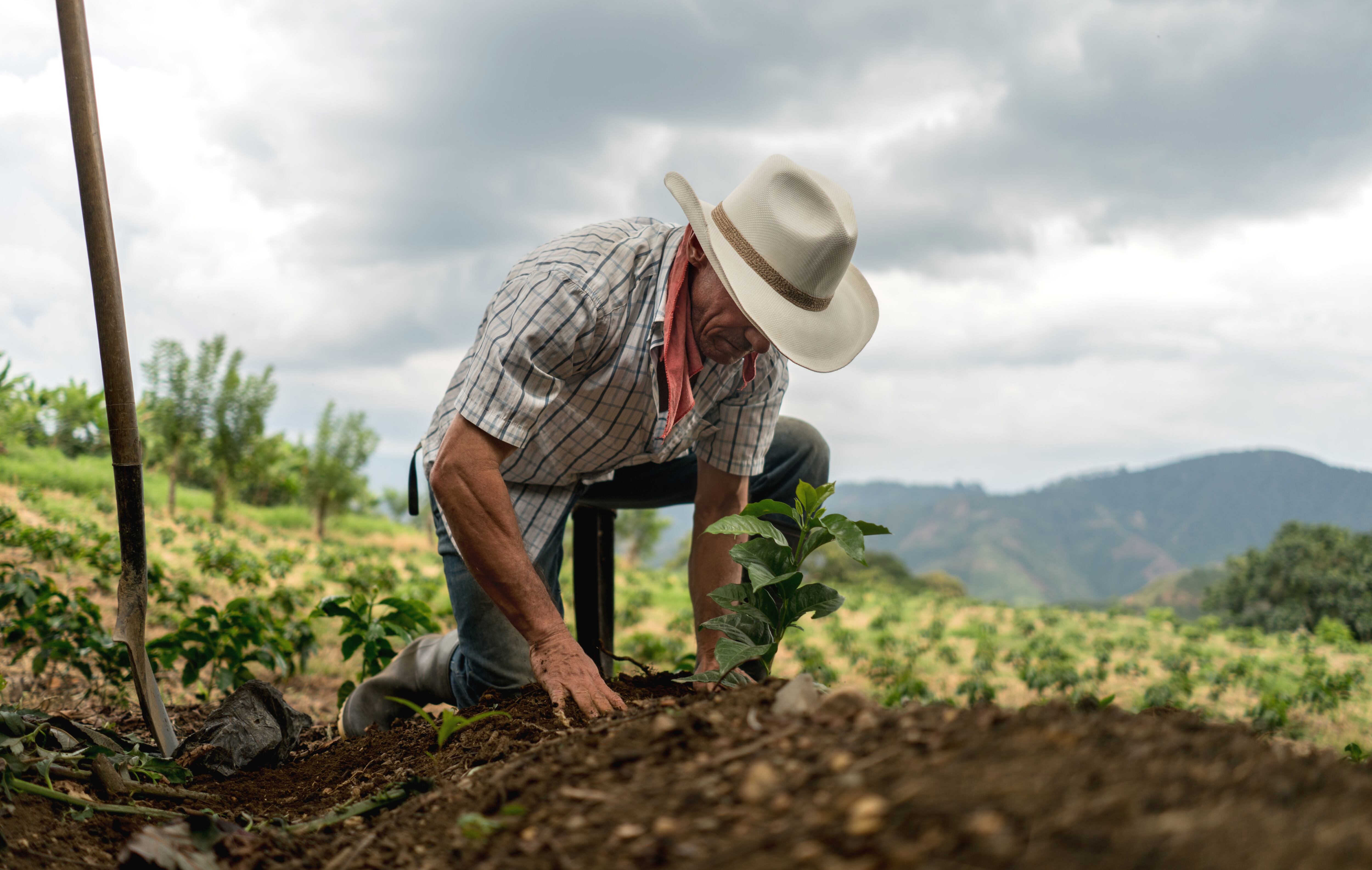 El 7 de noviembre de 2024, se realizará el evento El Futuro de la Colombia Agraria, en el Hotel Tequendama. | Foto: Getty Images