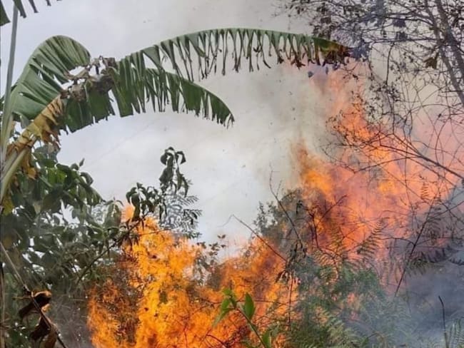 En esta temporada de sequía pedimos a los neivanos, reportar a las líneas 123 o 3158646154 – 3213919693, las emergencias.