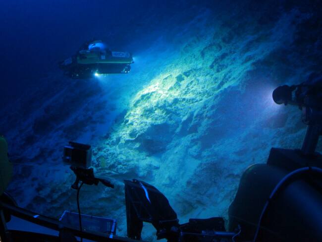 A handout picture taken in 2016 and released by ocean research institiute Nekton in London on February 6, 2019, shows a submersible working above the seabed off the coast of Bermuda. A mission to explore uncharted depths in the Indian Ocean was launched on Wednesday, hoping to discover hundreds of new species and find out what impact plastic is having way below the surface. The First Descent expedition, led by British-based ocean research institute Nekton, is set to send submersibles as deep as 3,000 metres off the Seychelles from March to test the health of the ocean. The project was launched at the Commonwealth headquarters in London. "The mission is focusing on 30 metres down to 3,000 metres. This is where you get the peak diversity of species," said Professor Alex Rogers, part of the scientific team. (Photo by HO / various sources / AFP) / RESTRICTED TO EDITORIAL USE - MANDATORY CREDIT " AFP PHOTO / NEKTON / HANDOUT" - NO MARKETING NO ADVERTISING CAMPAIGNS - DISTRIBUTED AS A SERVICE TO CLIENTS