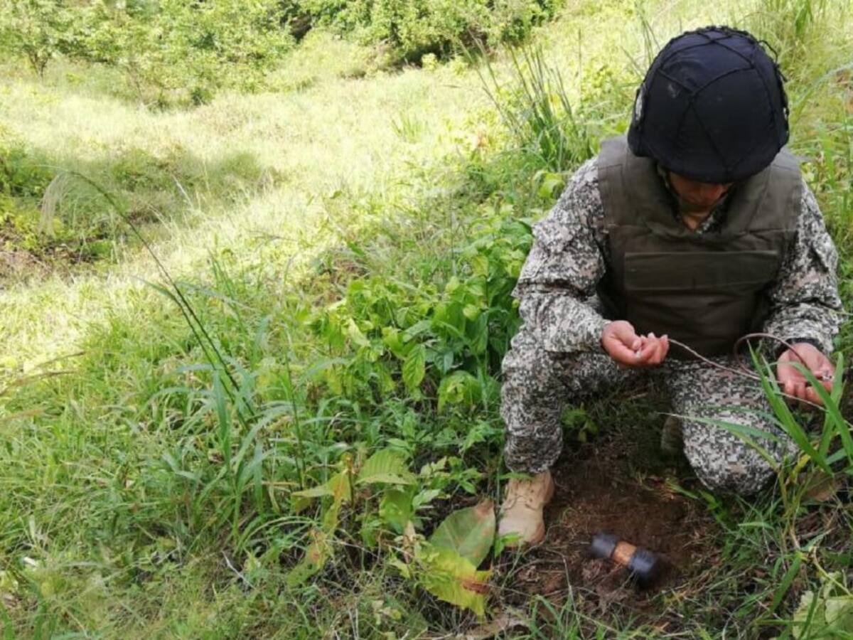 Destruyen artefactos explosivos en El Carmen de Bolívar