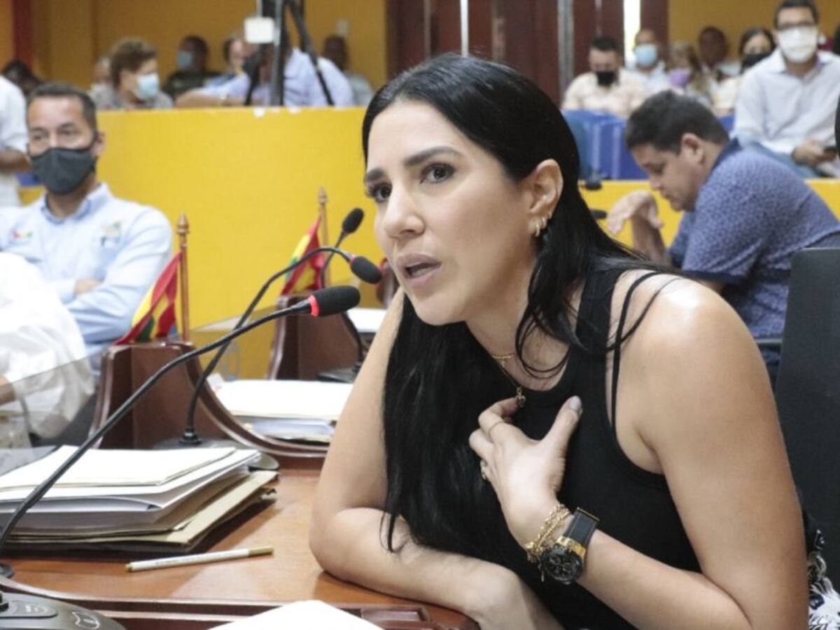 Concejo pidió claridad por $44 mil millones de cooperación internacional