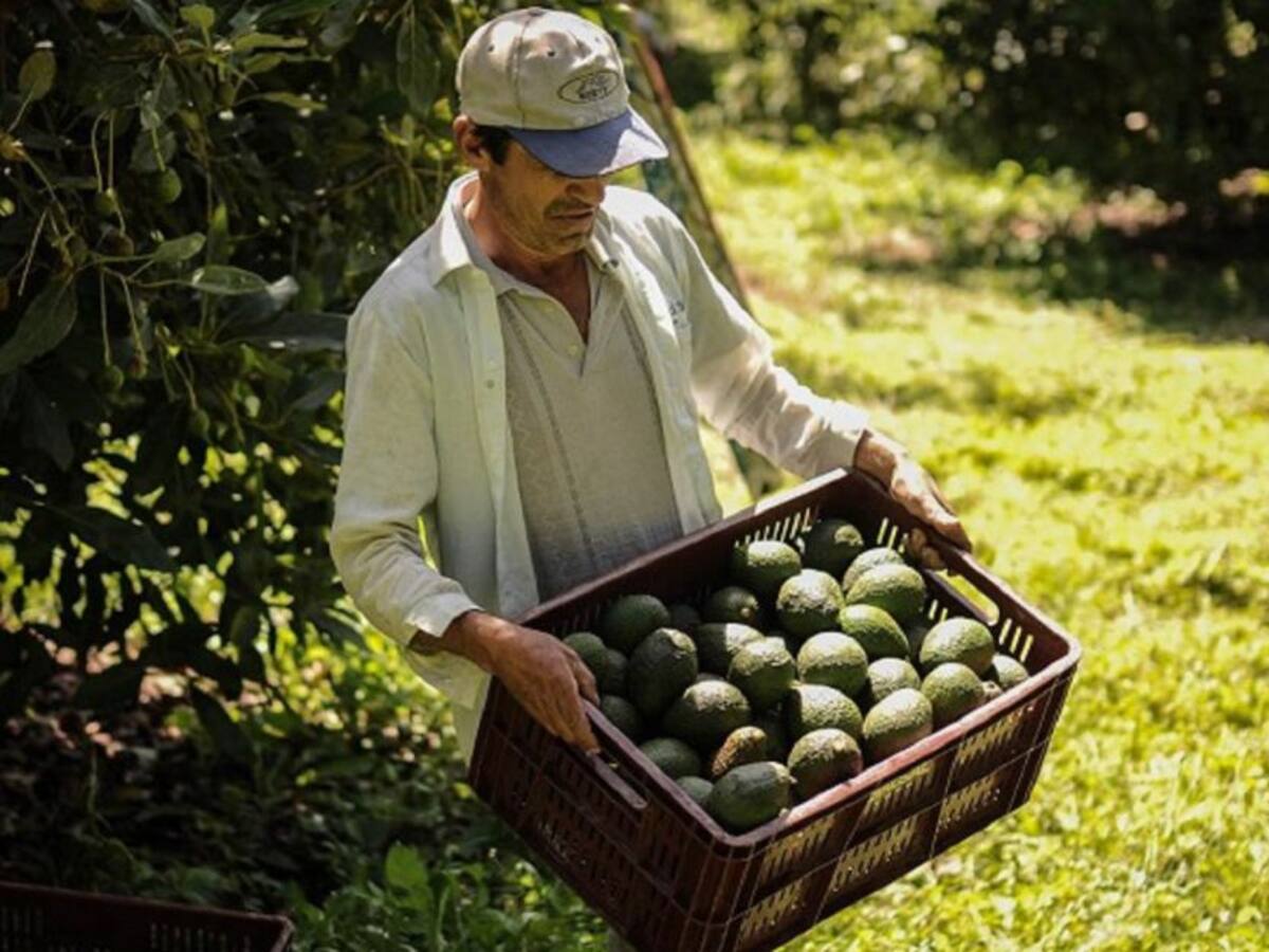 Firman convenios de extensión agropecuaria en el Huila