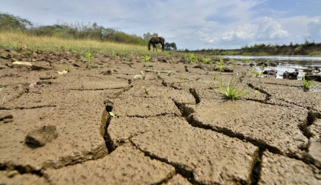 Fenómeno del niño.