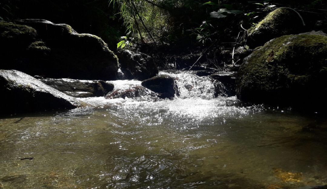 Agua potable 