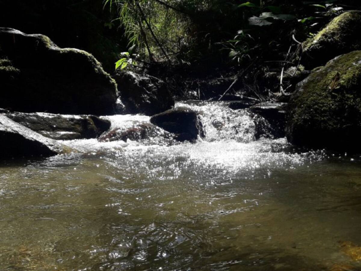 Cuidados especiales antes de consumir agua sin tratar