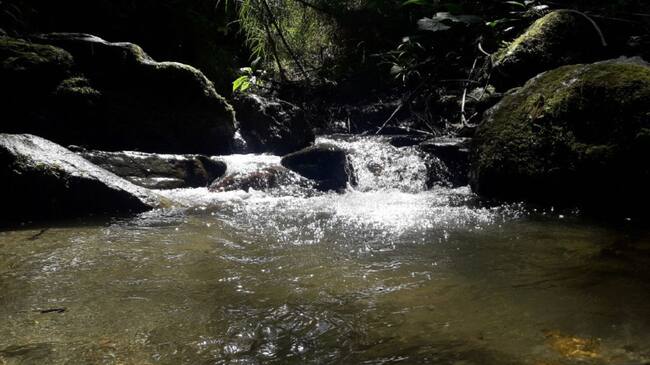 Agua potable