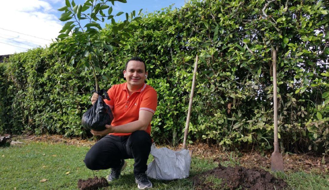 Proyecto de siembra de árboles