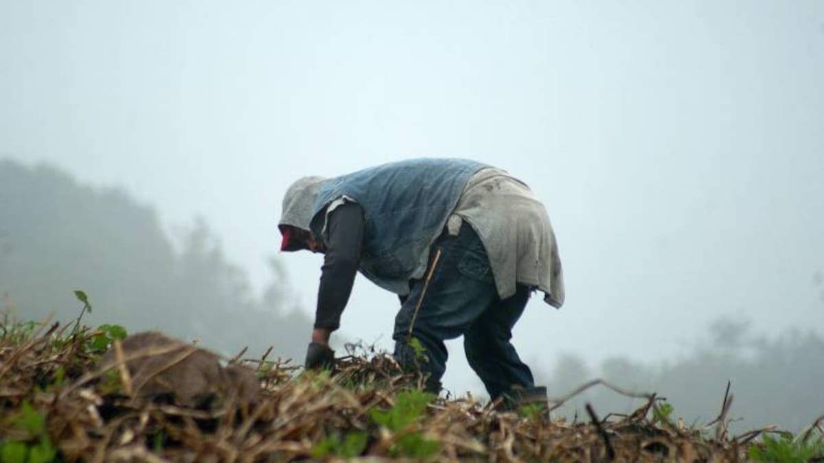 Por ola invernal disminuyó el 30% de la producción agrícola en Boyacá en el 2022