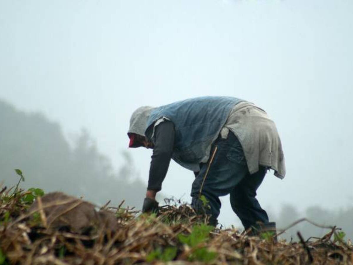 Por ola invernal disminuyó el 30% de la producción agrícola en Boyacá en el 2022