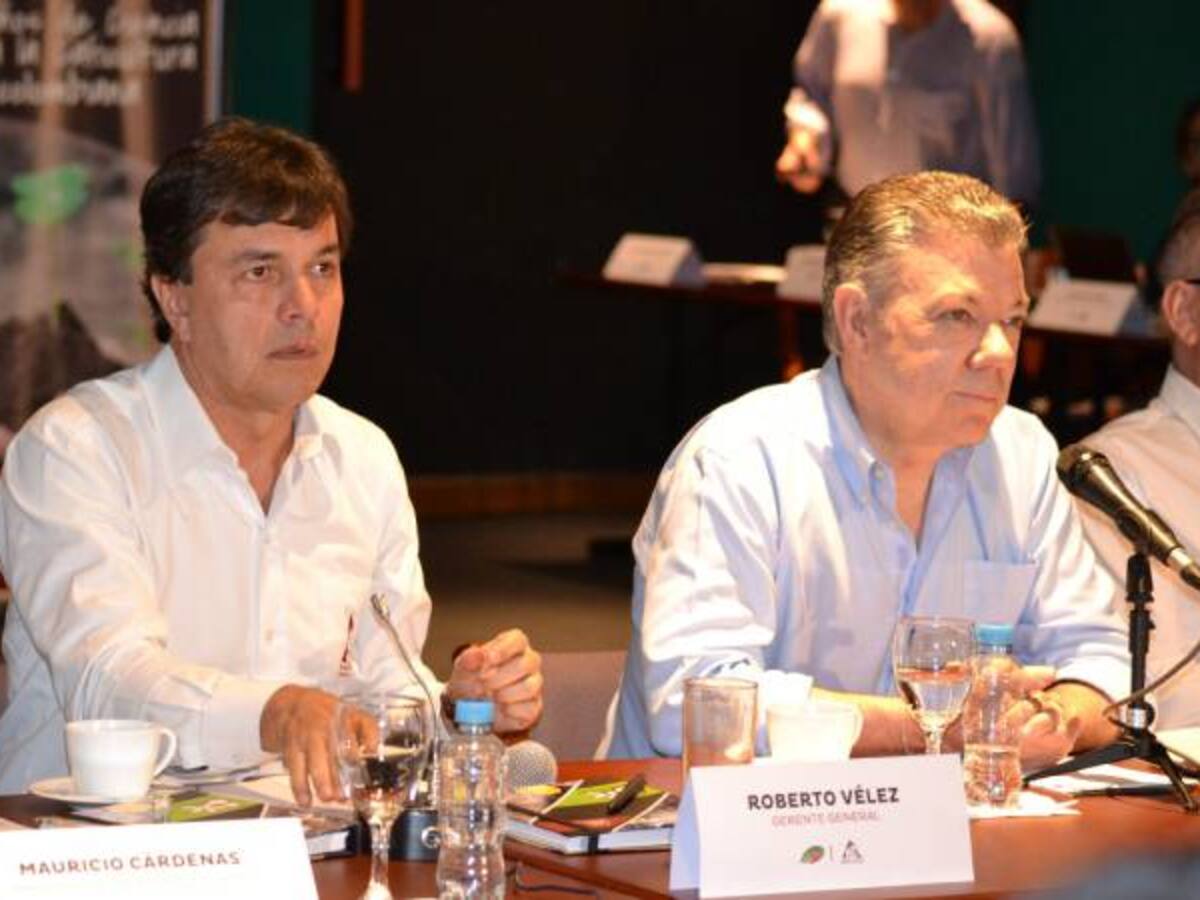 "El panorama del café es prometedor"