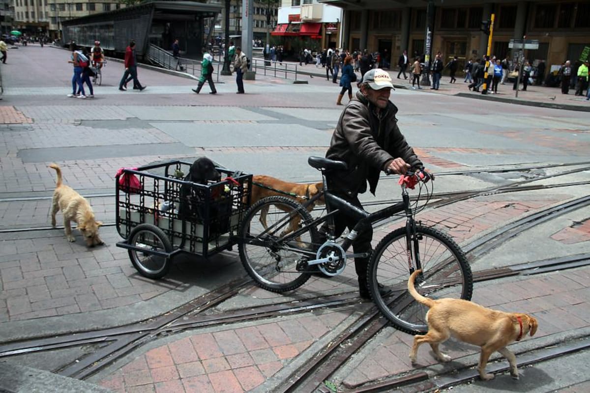 El alcalde de Bogotá, Gustavo Petro, dio inicio al servicio de préstamo gratuito de bicicletas en el marco de la peatonalización del Eje Ambiental.