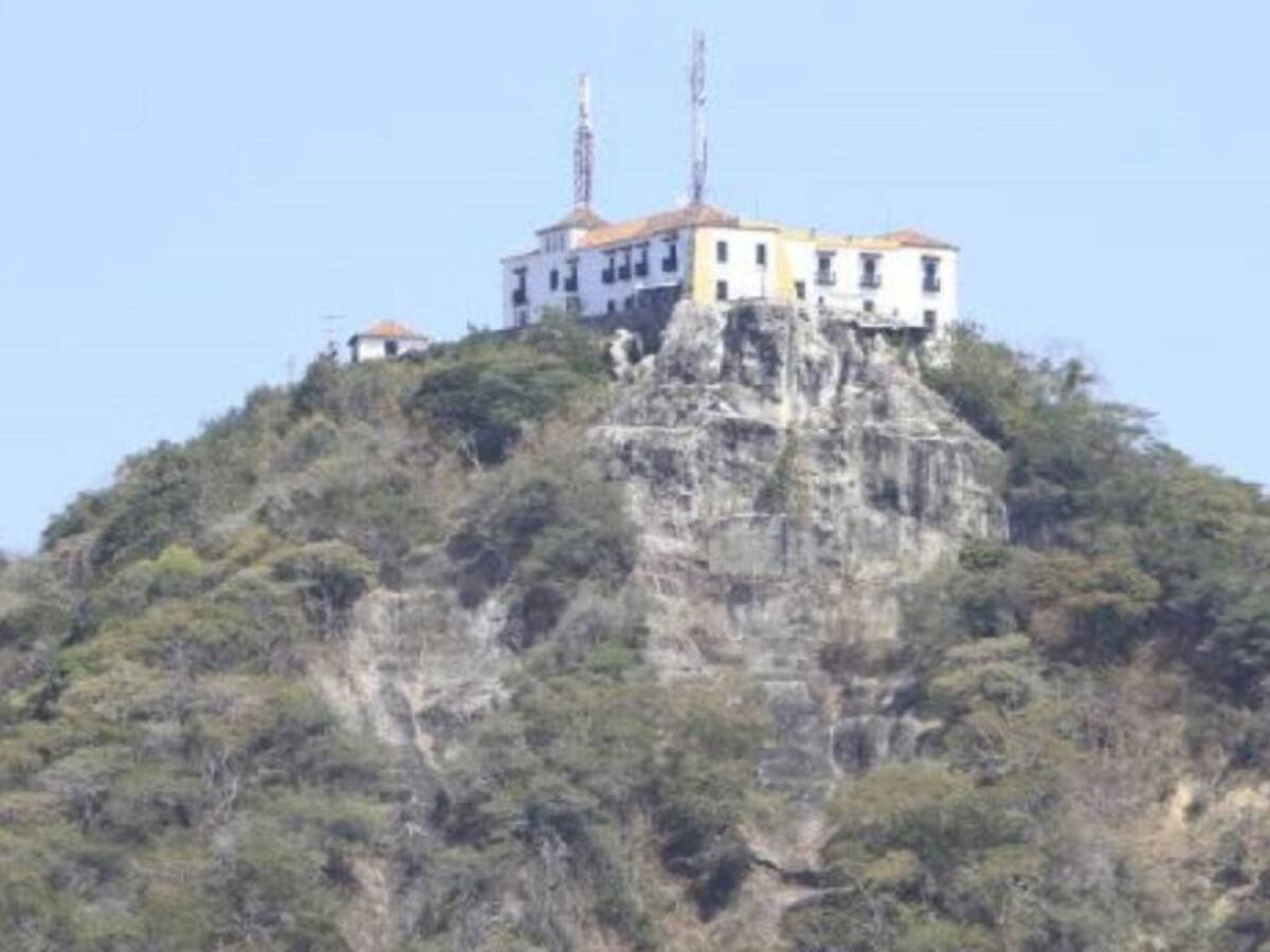 En Cartagena denuncian presuntas irregularidades en siembra de árboles