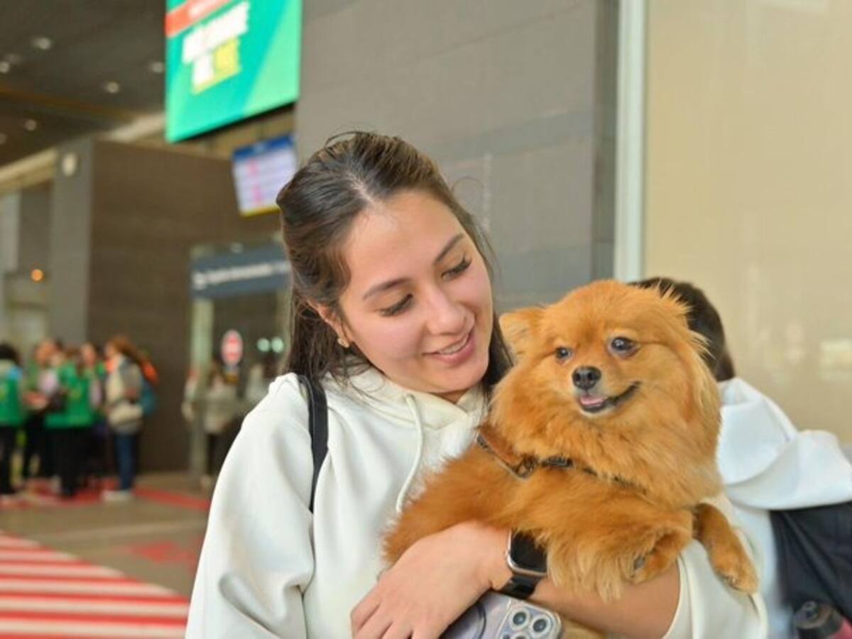 Bumanguesa repatriada del Líbano por bombardeos narró su drama