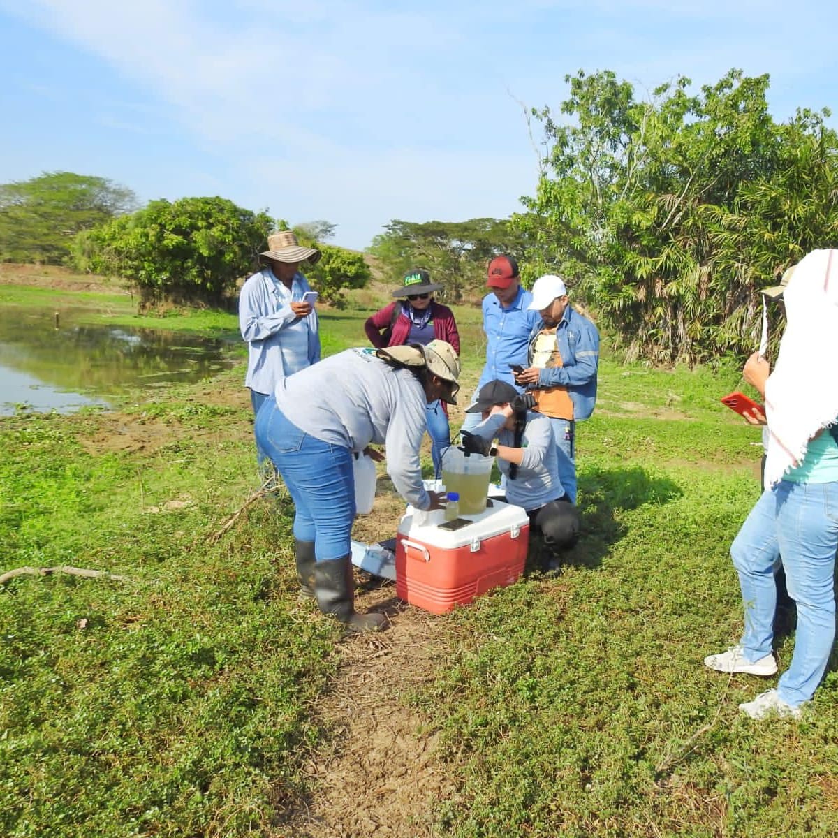 Por mortandad de peces en Puerto Nare, Corantioquia realizó una inspección