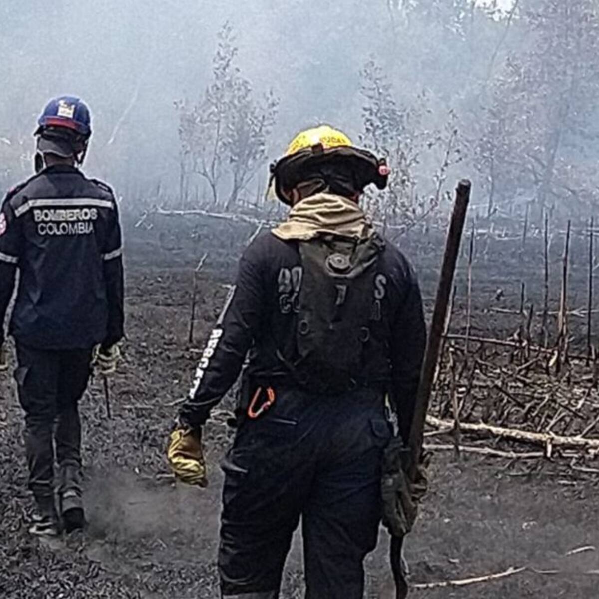 Se registra incendio forestal en la Ciénaga Grande de Santa Marta